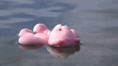 A gif of a pink bear floating on its back in water.